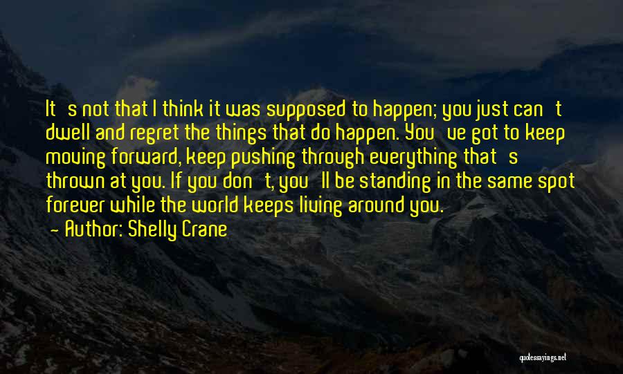 I Regret Things Quotes By Shelly Crane