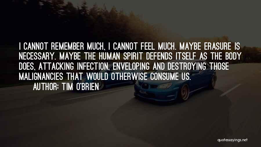 I Remember Us Quotes By Tim O'Brien