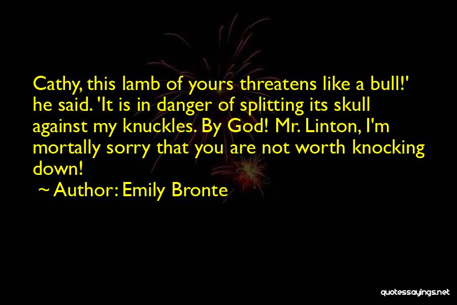 I Said Sorry Quotes By Emily Bronte