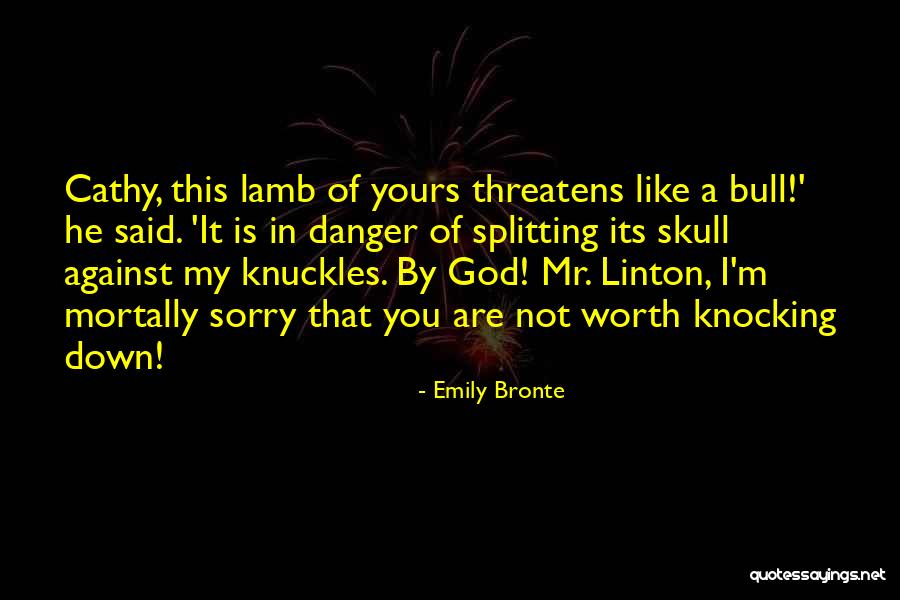 I Said Sorry Quotes By Emily Bronte