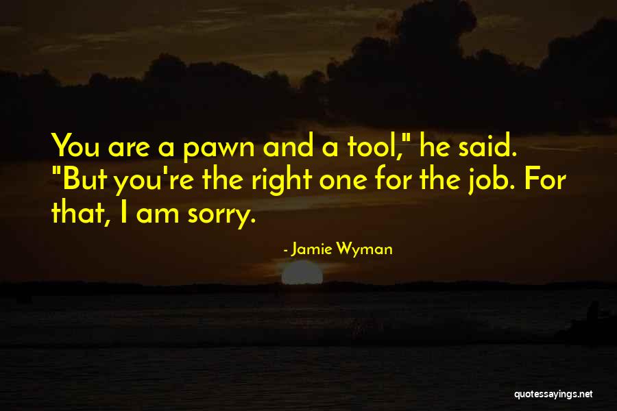 I Said Sorry Quotes By Jamie Wyman