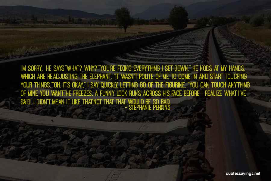 I Said Sorry Quotes By Stephanie Perkins