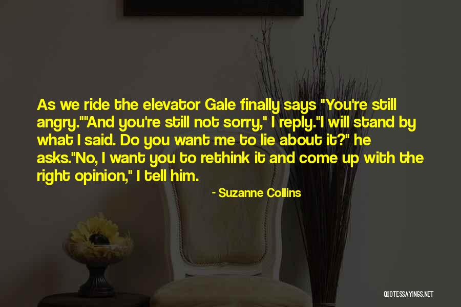 I Said Sorry Quotes By Suzanne Collins I Said Sorry Quotes By Suzanne Collins