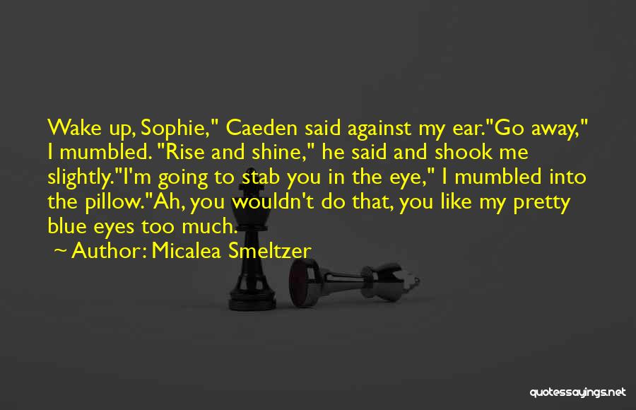 I Said Too Much Quotes By Micalea Smeltzer