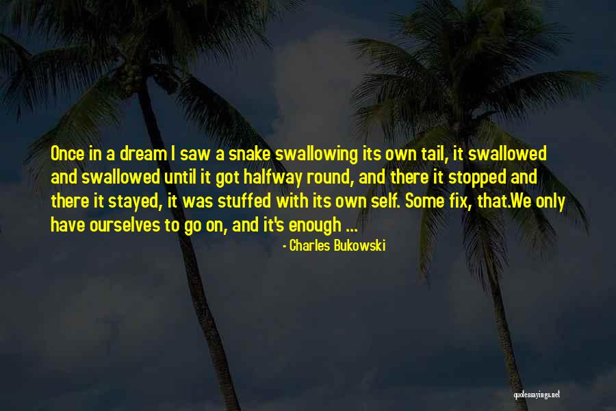 I Saw A Dream Quotes By Charles Bukowski