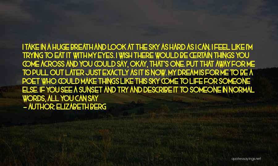 I Saw A Dream Quotes By Elizabeth Berg