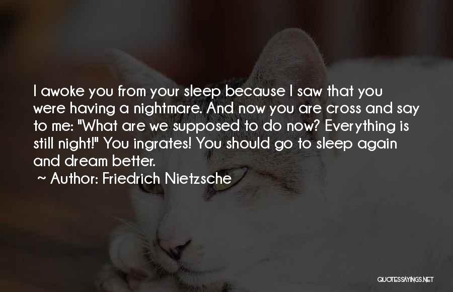 I Saw A Dream Quotes By Friedrich Nietzsche