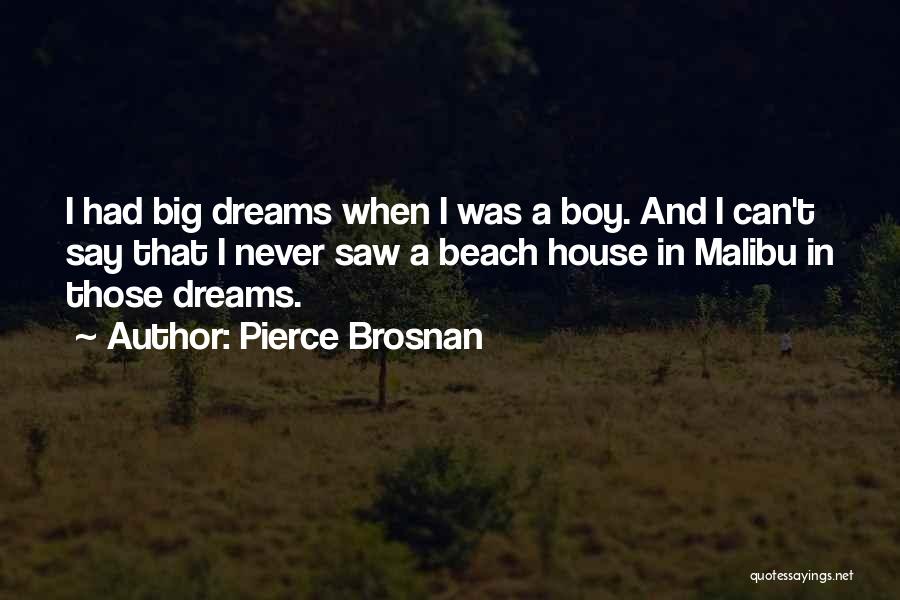 I Saw A Dream Quotes By Pierce Brosnan