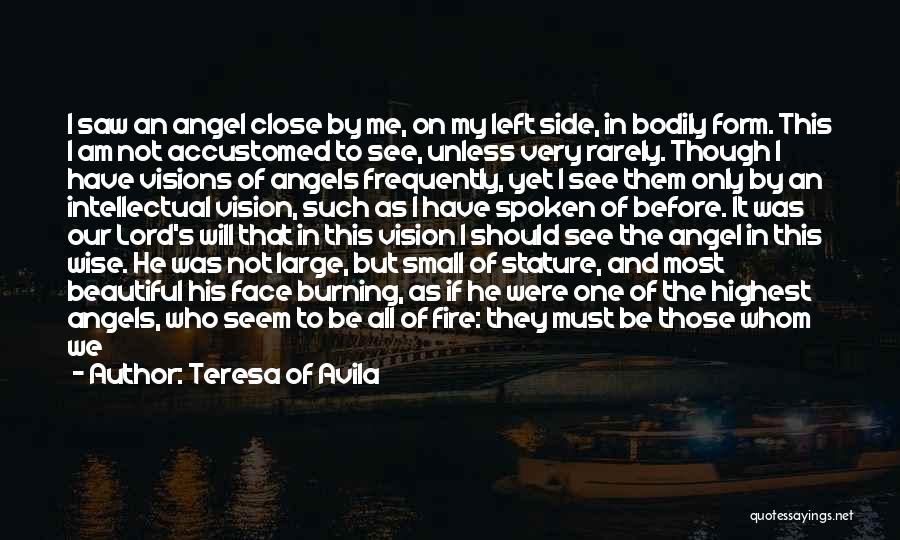 I Saw An Angel Quotes By Teresa Of Avila