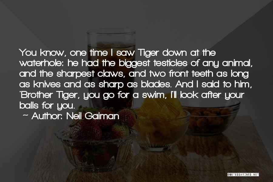 I Saw Her After Long Time Quotes By Neil Gaiman