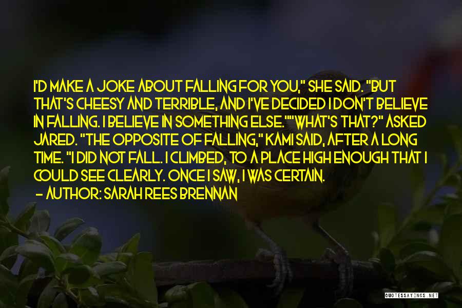 I Saw Her After Long Time Quotes By Sarah Rees Brennan