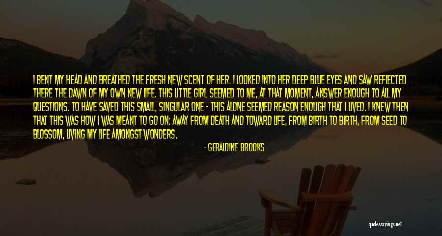 I Saw Her Eyes Quotes By Geraldine Brooks