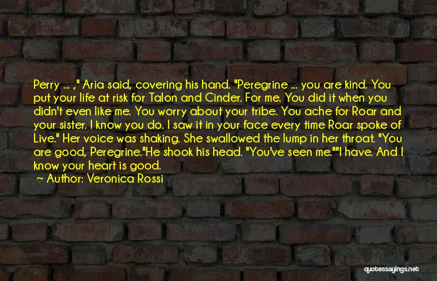 I Saw Her Face Quotes By Veronica Rossi