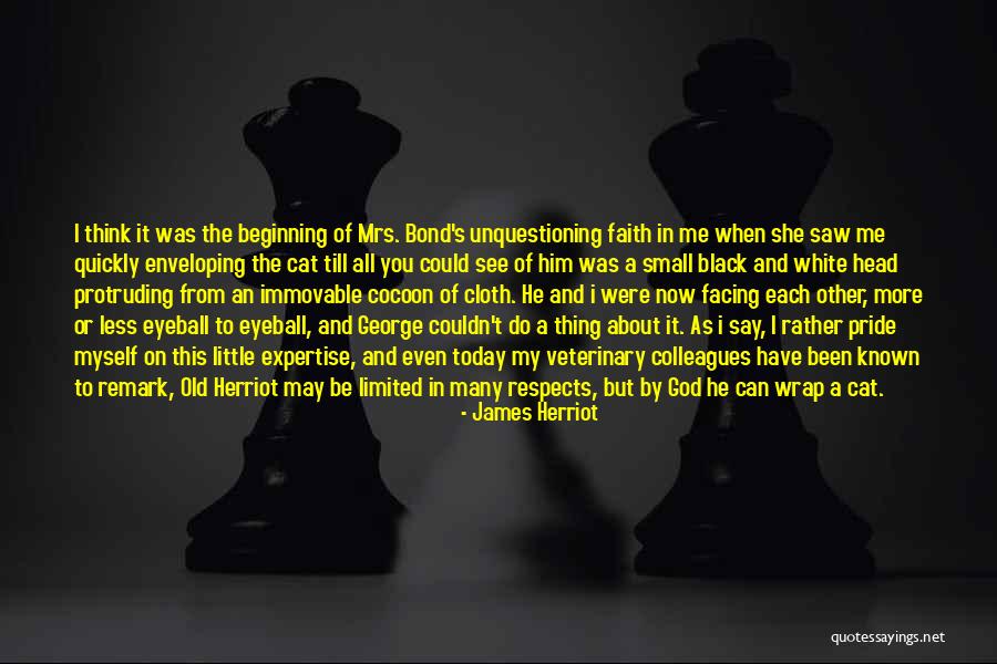 I Saw Him Today Quotes By James Herriot I Saw Him Today Quotes By James Herriot