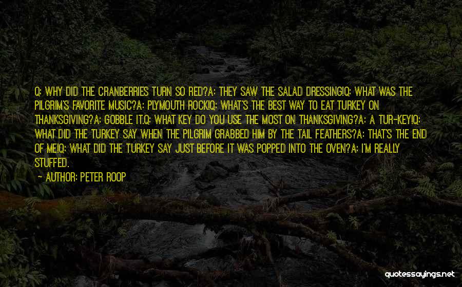 I Saw Quotes By Peter Roop