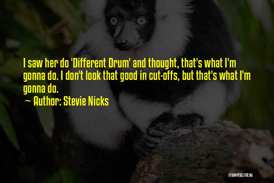 I Saw Quotes By Stevie Nicks