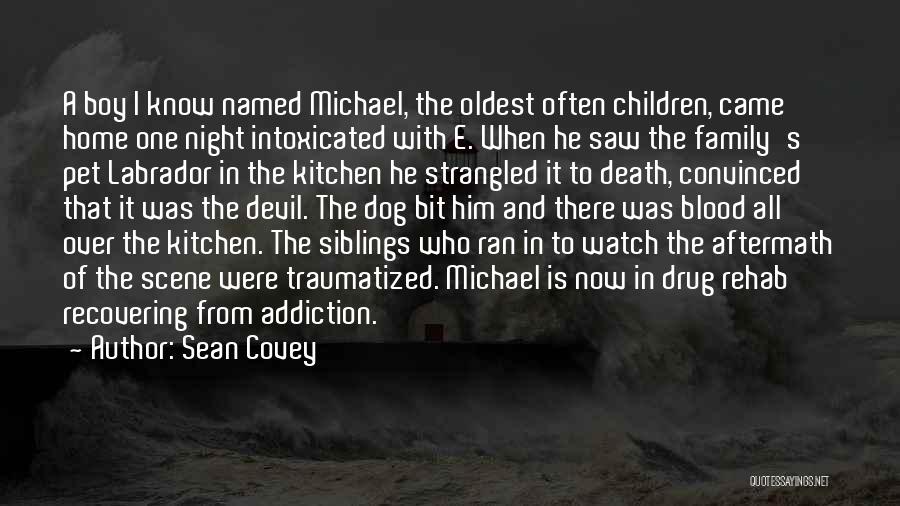 I Saw The Devil Quotes By Sean Covey