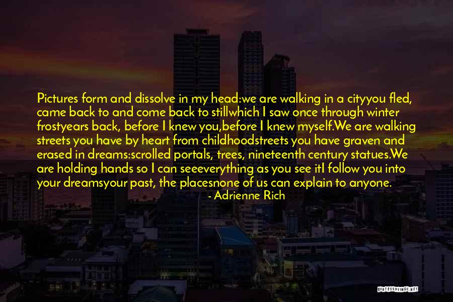 I Saw You In My Dreams Quotes By Adrienne Rich