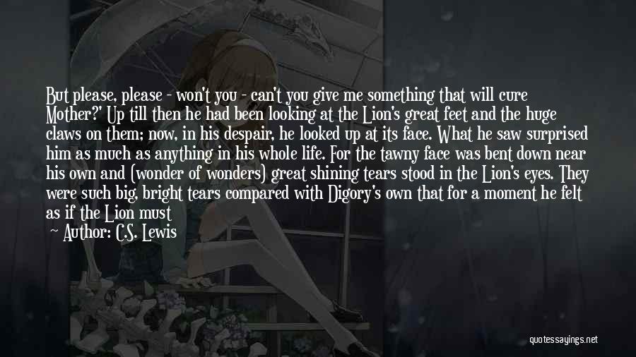 I Saw You Looking At Me Quotes By C.S. Lewis