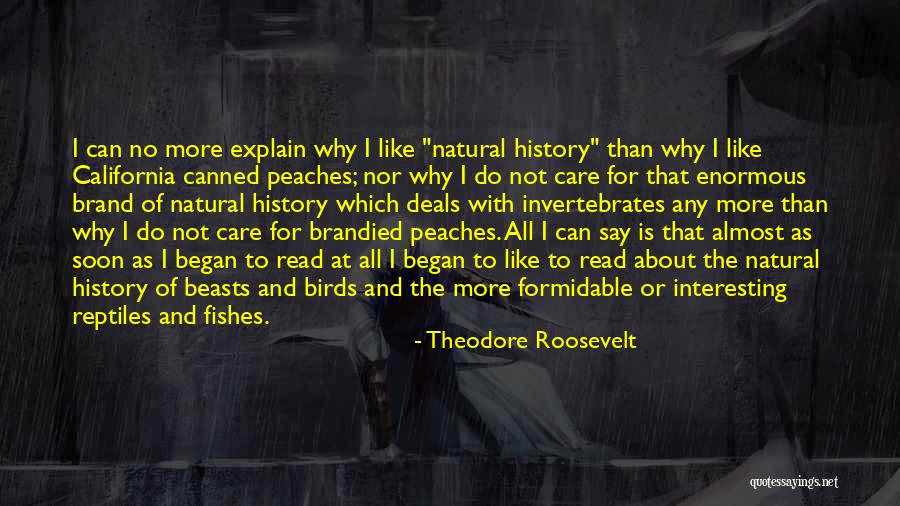 I Say No Quotes By Theodore Roosevelt I Say No Quotes By Theodore Roosevelt