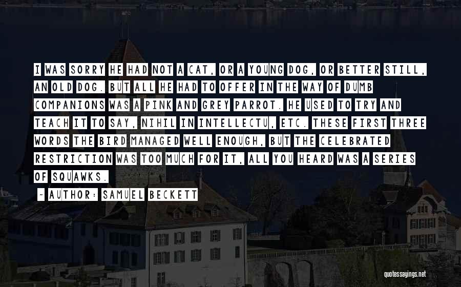 I Say Sorry Too Much Quotes By Samuel Beckett I Say Sorry Too Much Quotes By Samuel Beckett