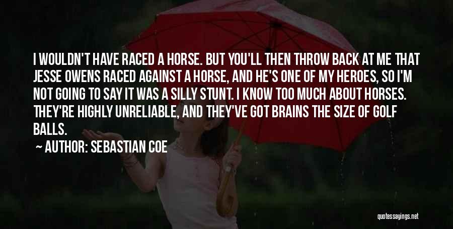 I Say Too Much Quotes By Sebastian Coe