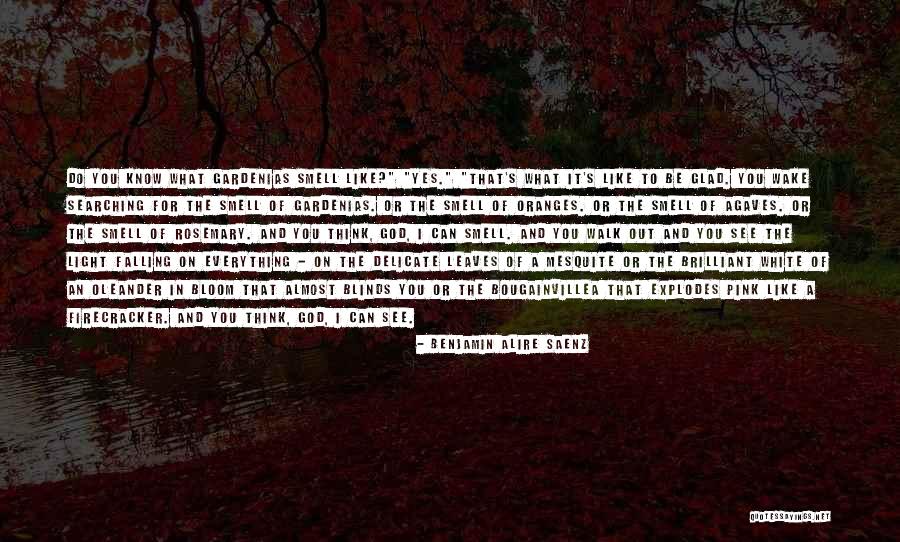 I See God In You Quotes By Benjamin Alire Saenz I See God In You Quotes By Benjamin Alire Saenz