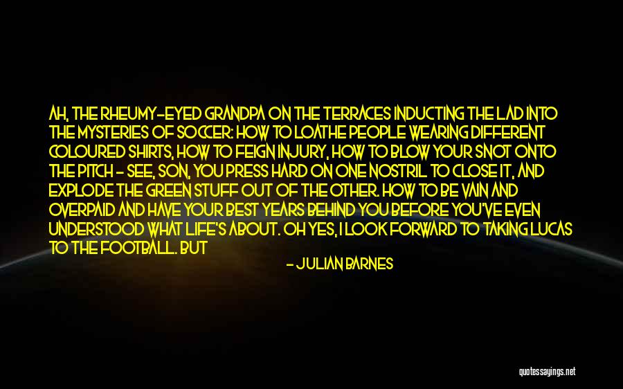 I See Life Different Quotes By Julian Barnes I See Life Different Quotes By Julian Barnes
