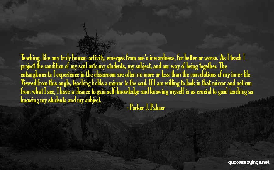 I See Myself In The Mirror Quotes By Parker J. Palmer I See Myself In The Mirror Quotes By Parker J. Palmer