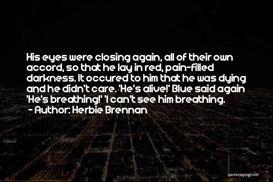 I See The Pain In Your Eyes Quotes By Herbie Brennan