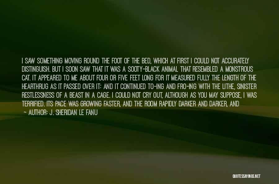 I See The Pain In Your Eyes Quotes By J. Sheridan Le Fanu