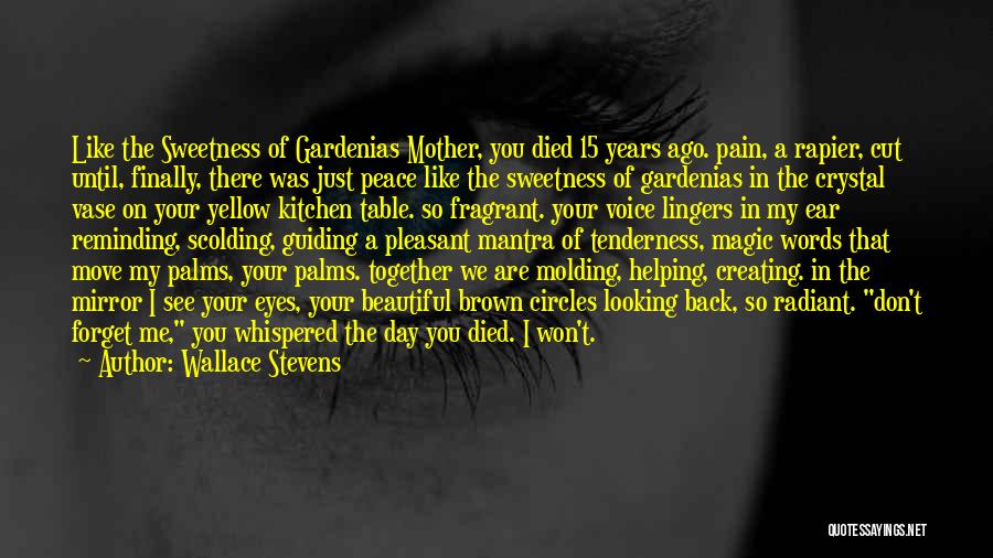 I See The Pain In Your Eyes Quotes By Wallace Stevens