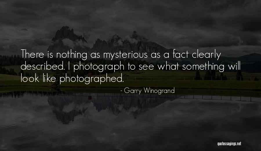 I See Things Clearly Now Quotes By Garry Winogrand