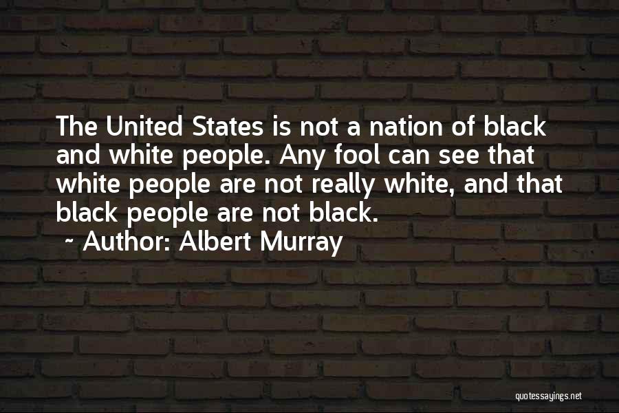 I See Things In Black And White Quotes By Albert Murray