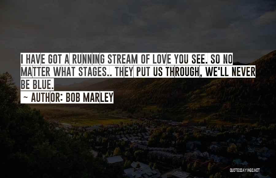 I See Through You Quotes By Bob Marley