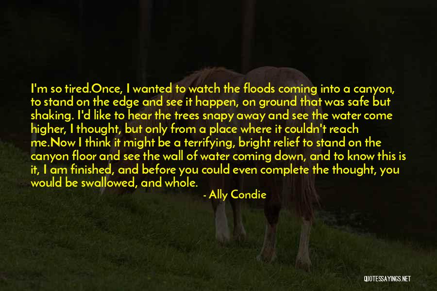 I See Where I Stand Quotes By Ally Condie I See Where I Stand Quotes By Ally Condie