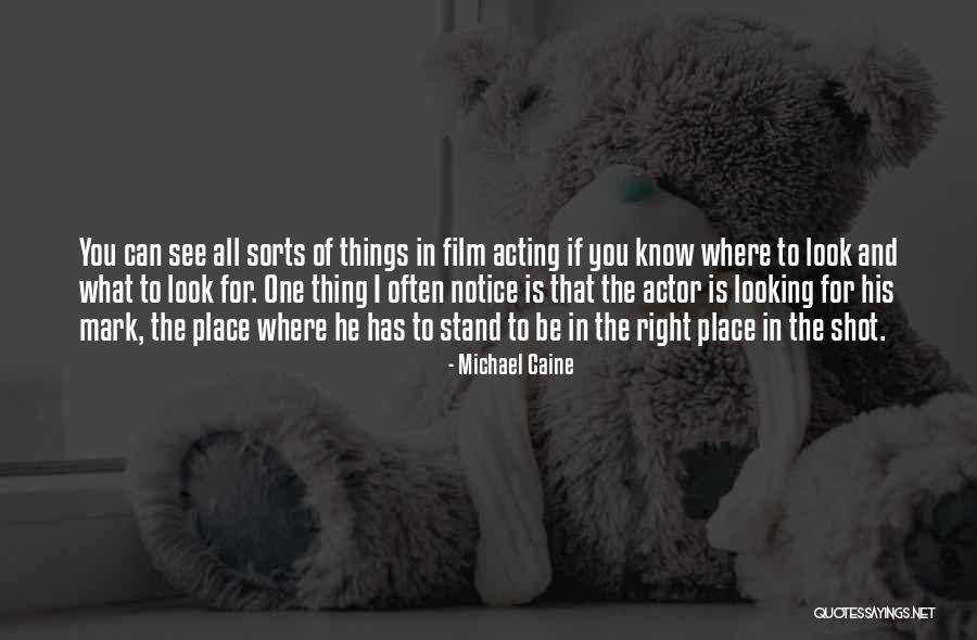 I See Where I Stand Quotes By Michael Caine I See Where I Stand Quotes By Michael Caine