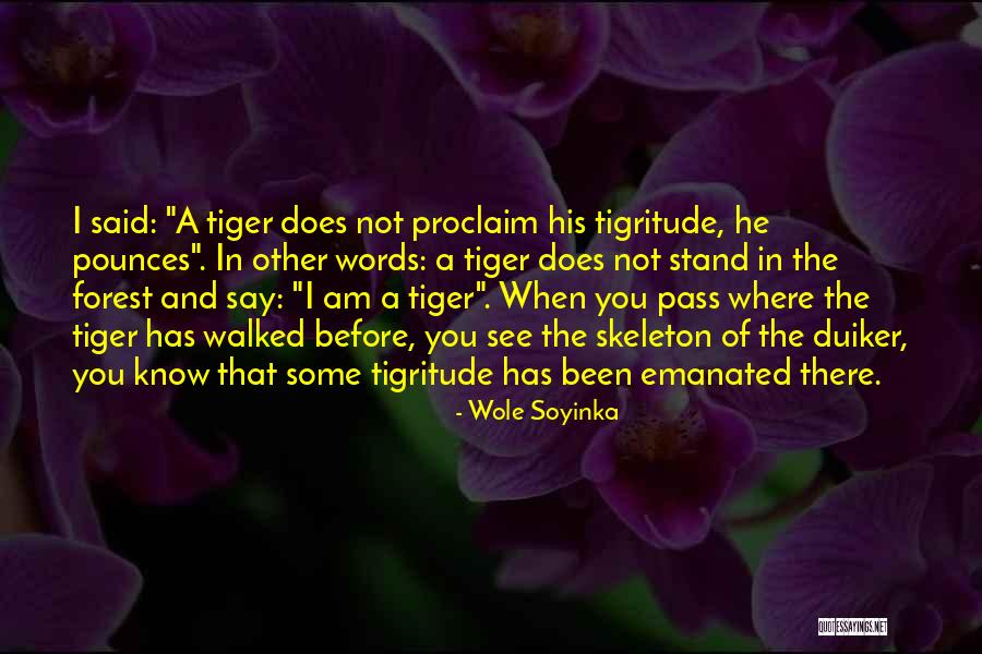 I See Where I Stand Quotes By Wole Soyinka I See Where I Stand Quotes By Wole Soyinka