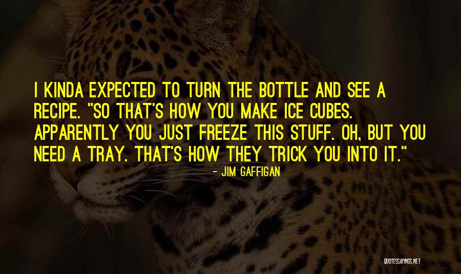 I See You Funny Quotes By Jim Gaffigan