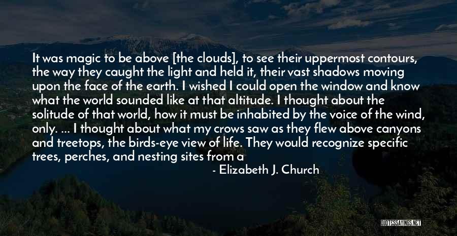 I See You In A Different Light Quotes By Elizabeth J. Church I See You In A Different Light Quotes By Elizabeth J. Church
