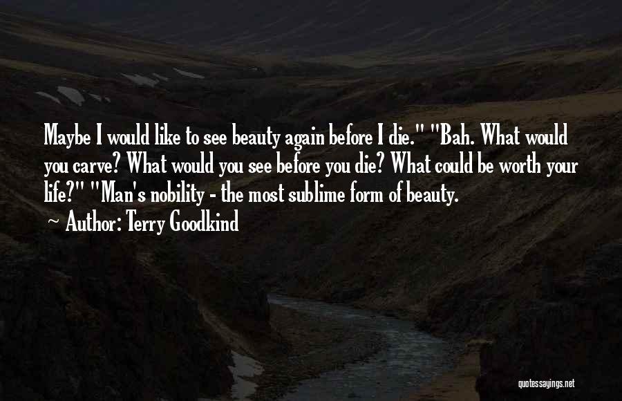 I See Your Beauty Quotes By Terry Goodkind