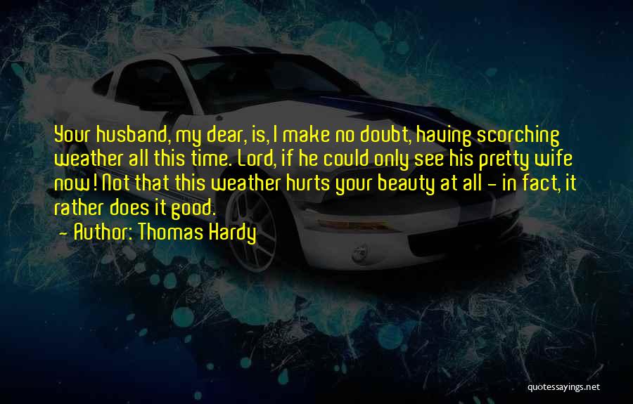 I See Your Beauty Quotes By Thomas Hardy