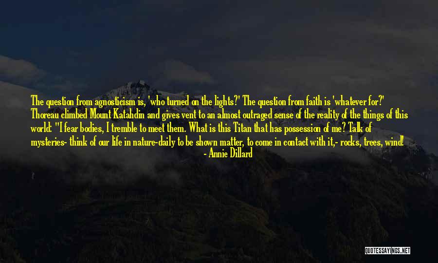 I Sense Quotes By Annie Dillard