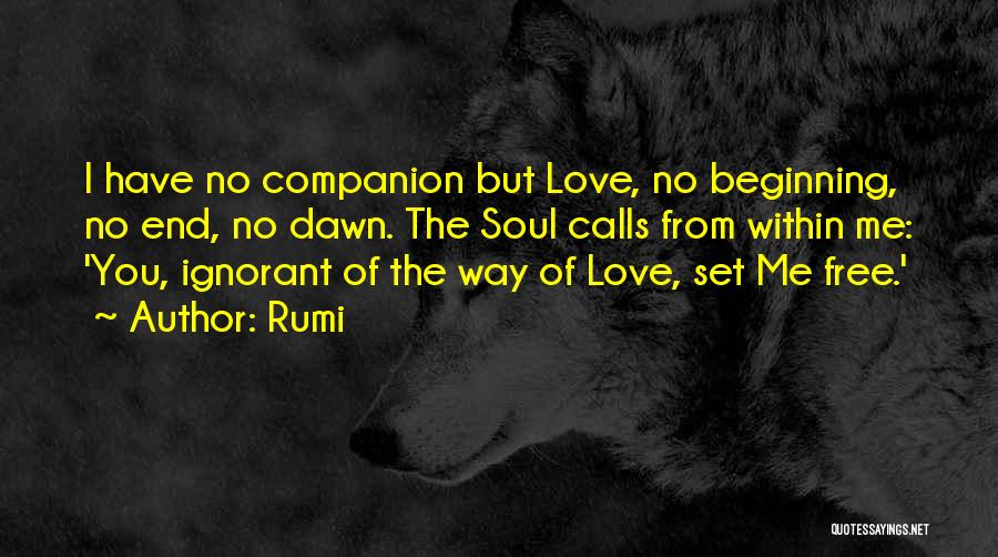I Set You Free Love Quotes By Rumi