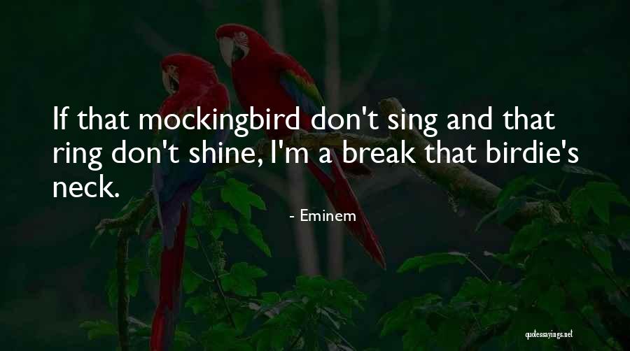 I Shine Quotes By Eminem