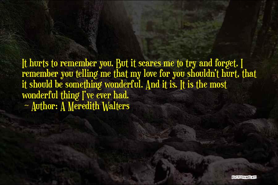 I Should Forget You Quotes By A Meredith Walters