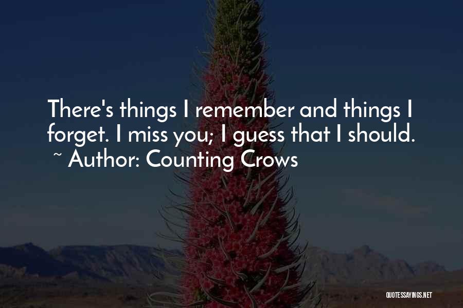 I Should Forget You Quotes By Counting Crows