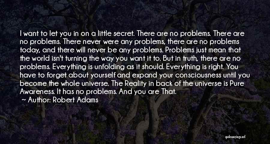 I Should Forget You Quotes By Robert Adams