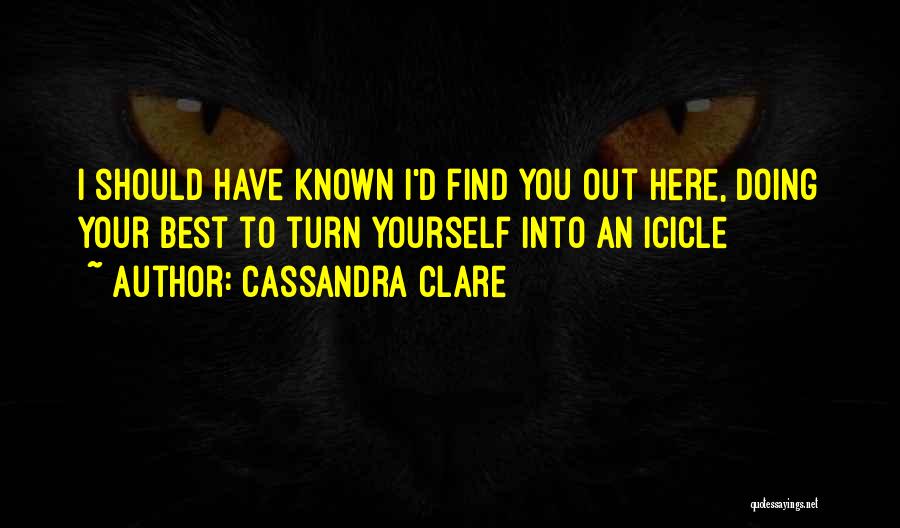 I Should Have Known Quotes By Cassandra Clare