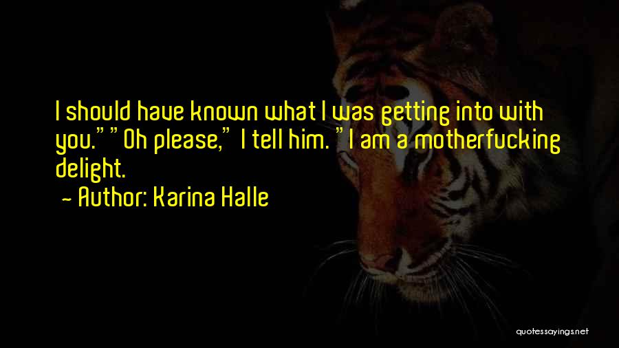 I Should Have Known Quotes By Karina Halle